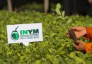 Yerba mate: contundente respaldo de Agricultura de Nación a la resolución 170 del INYM