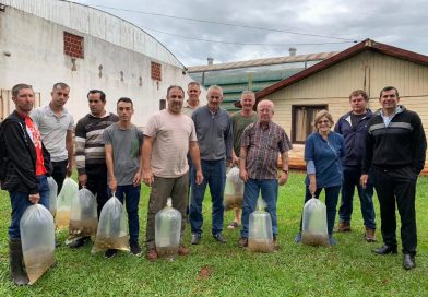Gobernador López: Entrega de alevines a los productores