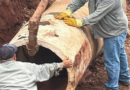 CAMPO GRANDE AVANZA CON OBRAS DE INFRAESTRUCTURA Y AGUA SEGURA
