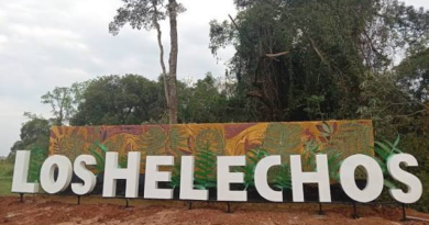 Los Helechos: Beneficios para el pago de patentes y preparativos para el fiesta del niño