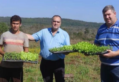 Entregaron plantines y semillas para fortalecer la producción hortícola local