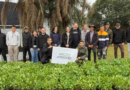 Campo Grande fortalece la producción local con la entrega de plantines de pimiento