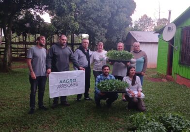 COLONIA ALBERDI: ENTREGARON PLANTINES DE MORRÓN PARA FORTALECER LA DIVERSIFICACIÓN PRODUCTIVA